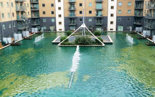 2 bed flat in Argyll Road